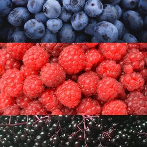 Bleuets / framboises / Sureau